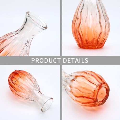 Glass Bud Vases Set of 4, Small Orange Flower Vases for Wedding Centerpiece - color: Orange