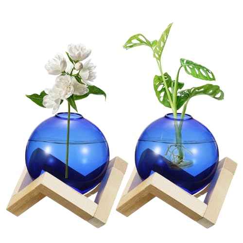 M METERXITY 2 Pack Glass Planter Terrarium with Wooden Stand, Desktop Plant Propagation Station Bulb Vase for Hydroponic Plants Propagation/Home Garden Decor/Plant Lover [Blue] - color: Blue