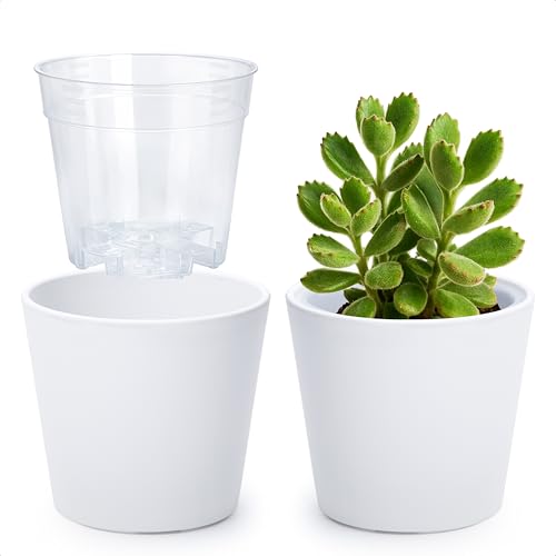 Phoenix Vine 4.5 Inch White Plastic Cachepot with Clear Nursery Pot, Decorative Lightweight Planter Cover with Transparent Inner Pot for Indoor Houseplants, Pack of 2, 24-B-D-2 - color: Matte White, size: 4.5" (2 Pack)
