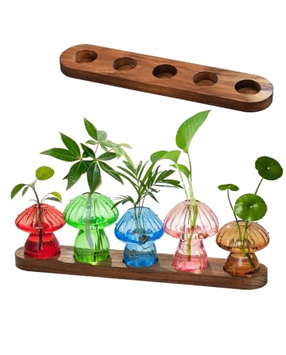 Mushroom Glass Vase Set of 5, Colored Propagation Station, Mushroom Planter