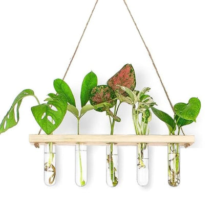 Kingbuy 5 Pack Glass Test Tube Planter, Wall Hydroponic Propagation Vases