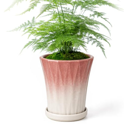 Ceramic Pots for Plants with Saucer(Pink, 6.7 Inch) - color: Pink, size: 6.7 Inch