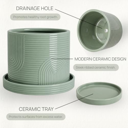 6 Inch Ceramic Plant Pot with Drainage Hole & Tray – Sage Green - color: Sage Green