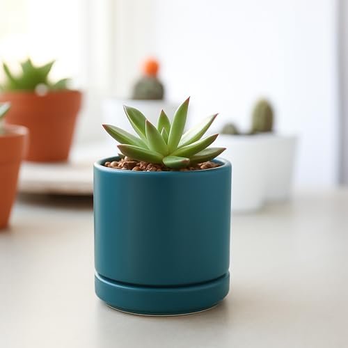 D'vine Dev 2-Pack Ceramic Pots with Saucers, Teal, 3.5 in, 94-V-A-9 - color: Teal, size: 3.5 Inch