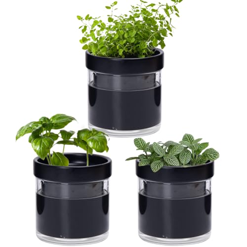 Phoenix Vine 4 Inch Self Watering Planter Pot, Black Terracotta Clay Pot with Glass Reservoir for Indoor Plants, Herbs, Flowers, Set of 3, 52-C-E-3 - color: Black, size: 4" (3 Pack)