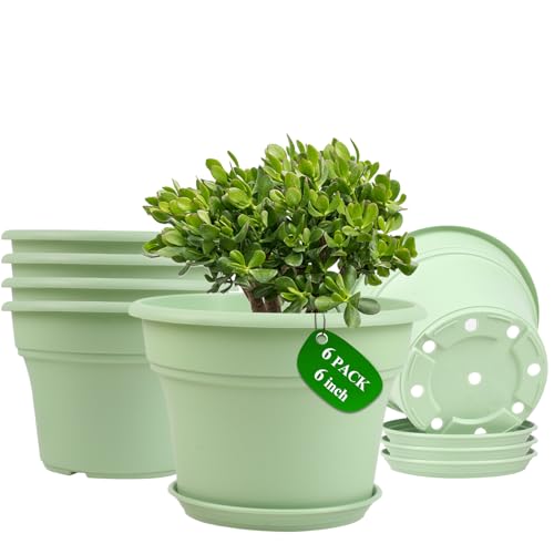 Pottiffe Plant-Pots-Planters-Indoor-Outdoor, 6 inch 6 Pack Green - color: Green, size: 6 inch-6Pack
