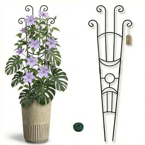 2 Pack 33 In Adjustable Plant Trellis for Climbing Plants Indoor Thickened Rust-Proof Metal Climbing Support Expandable 15-30 Inch Indoor Outdoor Garden Trellis for Pothos Ivy Monstera with Plant Ties - color: Black Moon