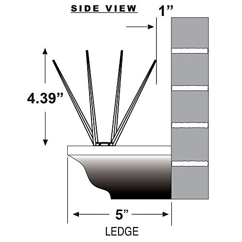 Bird B Gone EnviroSpike Plastic Bird Spikes, 50ft, Clear - size: 50 Feet Long
