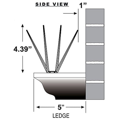 Bird B Gone EnviroSpike Plastic Bird Spikes, 50ft, Clear - size: 50 Feet Long