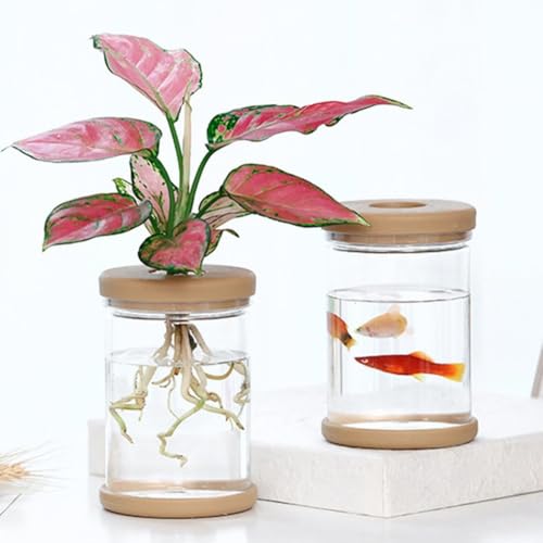 1pc, Hydroponics Plants Desktop Glass Planter Vase for Home Decoration, Plant Propagation Station Bud Vase, Desktop Hydroponics