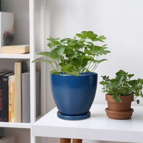 6.8 Inch Plant Pot - Ceramic Planter with Drainage Hole and Saucer, Modern Round Flower Pot, Planters for Indoor Plants, Home Garden Decor, Blue - color: Matte Blue, size: 6 Inch