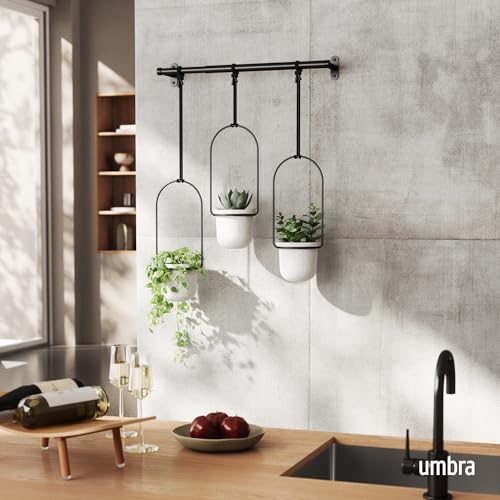 Umbra Triflora Hanging Planter, Indoor Herb Garden, Set of 3, White/Black - color: White/Black, size: Set of 3, style: Set of 3