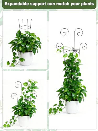 Metal Monstera Trellis, Expandable Garden Treleaf Trellis, Black - color: Gold-NEW