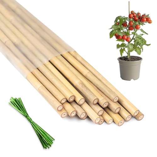 Plant Stakes 18inch, HAINANSTRY 20Pcs Natural Bamboo Sticks Garden Stakes - size: 18Inch 20Pack