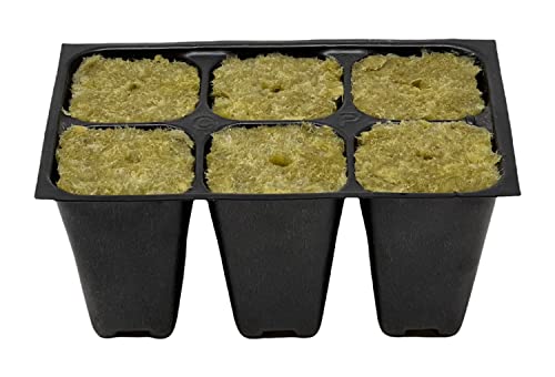 Seed Starter Tray, 720 Cells (120 Trays - 6 Cells Per Tray) + Plant Stakes