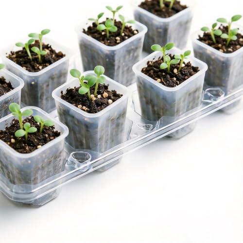 50 Pack 1.6'' Square Clear Nursery Pots, Mini Transparent Planter - size: 1.6 Inch