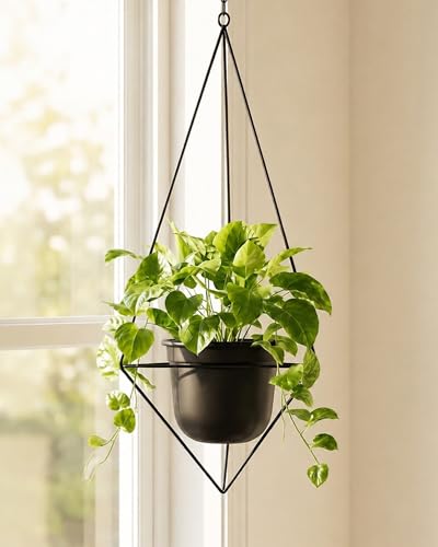 Bamworld Black Hanging Planters for Indoor Outdoor Plants Metal Hanging Pot - size: Diamond - 5in