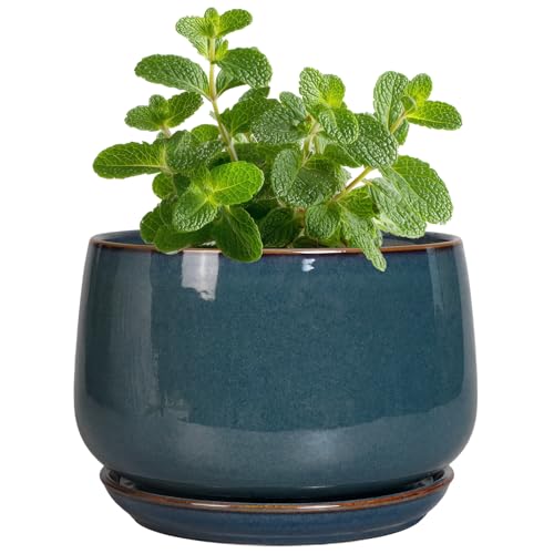 G EPGardening Ceramic Pots for Plants - 4 inch Plant Pots for Indoor Outdoor, Small Planter with Drainage Hole & Tray, Modern Succulent Pots, Round Planter, Office Decor, Home Gifts, Retro Blue - color: Retro Blue, size: 4 Inch