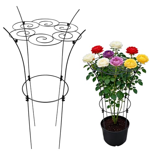 Peony Ring Metal Plant Support Cage 39in Rustproof for Roses