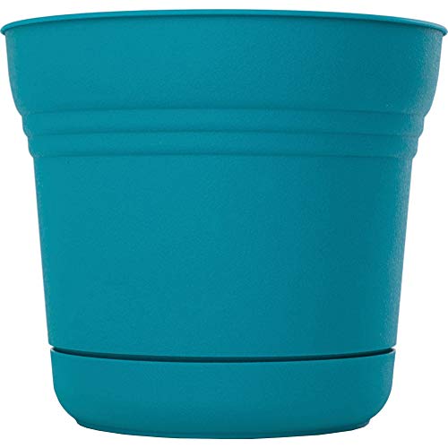 Bloem Saturn Planter with Saucer, 7", Calypso (SP0727) - color: Calypso, size: 7"
