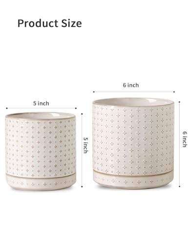 Plant Pots, 5+6 inch Planters Set of 2, Ceramic Pot for Indoor Plants with Drainage Hole and Saucer, Small Flower Pot for Succulent, White