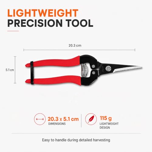 ARS HP-300L Needle Nose Fruit Pruners