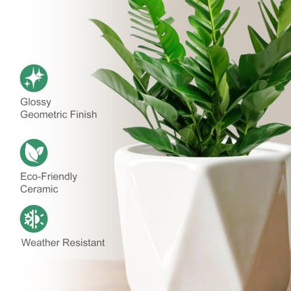 White Ceramic Planter Set of 3 with Drainage and Saucer, Indoor Plant Pots - color: Pure White