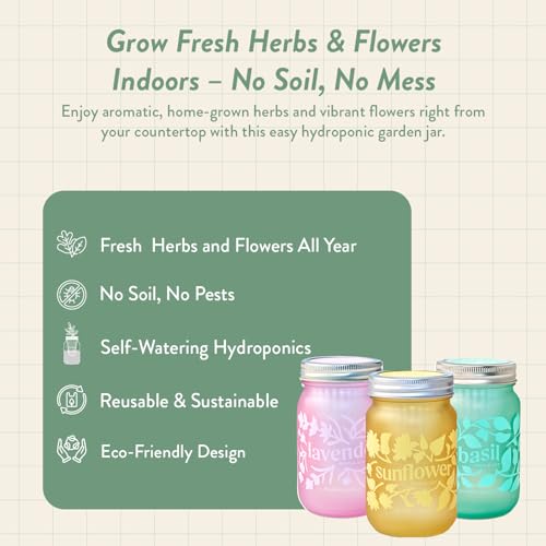 Modern Sprout Mason Garden Jar - Self-Watering Hydroponics Growing Kit-3Pk - color: Basil + Lavender + Sunflower