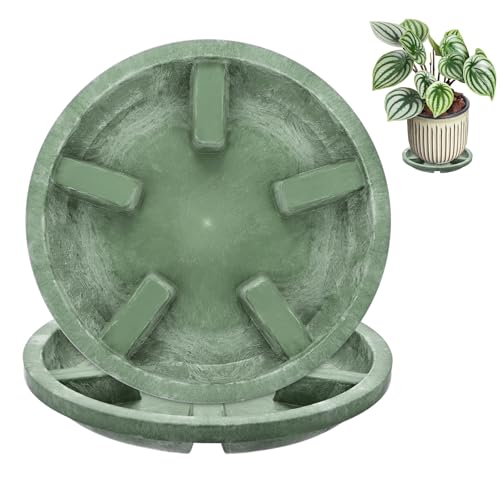 M METERXITY 2-Pack Plant Saucers, 6 Inch OD Anti-Rot Root Resin Flower Pot Plant Saucers for Indoor/Outdoor, Flowerpot Drip Tray [4.7 Inch ID, Green] - color: Green, size: 6 Inch OD