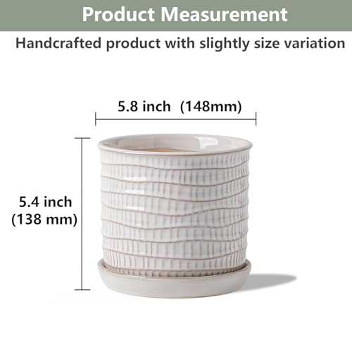 5.8 Inch Plant Pot: Ceramic Planter with Drainage Hole & Saucer - Cream White Flowerpot for Indoor & Outdoor Plants - with Separate Tray for Home & Office - Wave Embossed Design - color: Wave Embossed, size: 6 inch