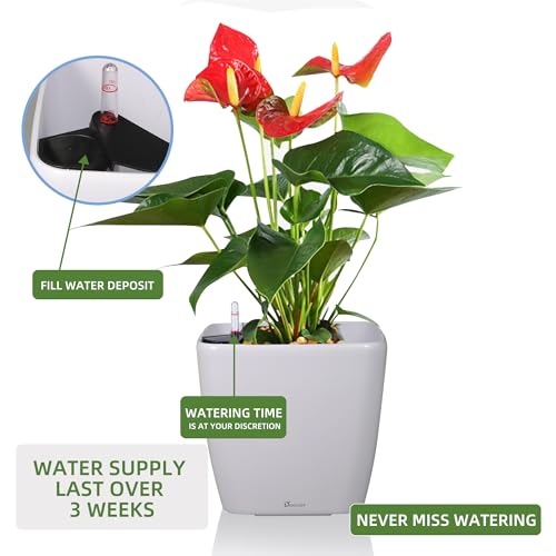 Dexceder 15x14 Self Watering Planter with Wheels (White Matte) - color: Ceramic White, size: 15x14