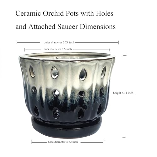 Ceramic Orchid Pot with Hole 6'' Orchid Planter (Cream Over Black) - color: Cream Over Black
