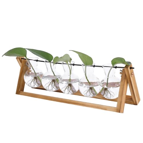 PH PandaHall Plant Terrarium with 5 Bulb Vase Plant Propagation Station with Wooden Stand Hydroponic Plants Vase Tabletop Propagated Plants Jar for Indoor Home Garden Office Office Desk Decor Gifts - color: Burlywood