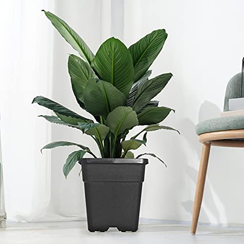Square Planter Nursery Pots 9.77 Gallon Pots for Plants, Injection Molded Plastic Nursery Pots, Plant Container 9.77 Gal 5-Pack - color: Black, size: Square-14inch-5pcs