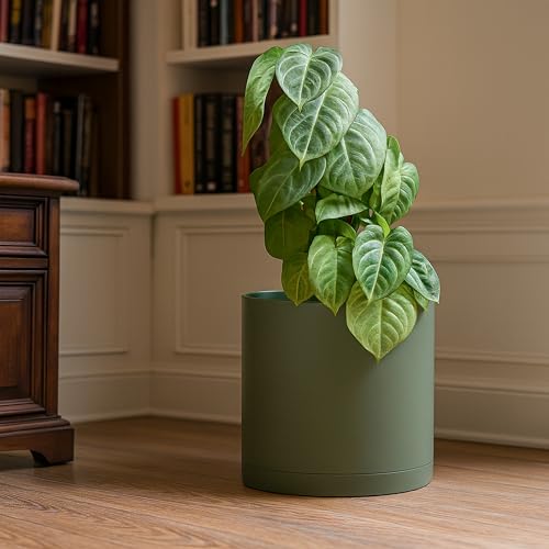 D'vine Dev Plastic Planter Pot with Saucer, 12 in, Olive, 74-X-I-3 - color: Olive, size: 12 Inch