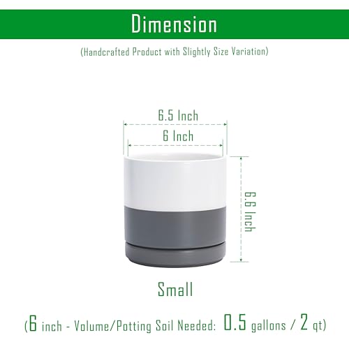 D'vine Dev 2-Pack Ceramic Pots with Saucers, White/Grey, 6.5 in, 94-V-C-6 - color: White/Speckled Grey, size: 6 Inch
