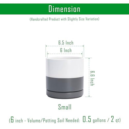 D'vine Dev 2-Pack Ceramic Pots with Saucers, White/Grey, 6.5 in, 94-V-C-6 - color: White/Speckled Grey, size: 6 Inch
