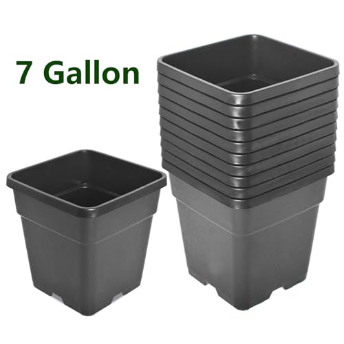 7 Gal Nursery Pots Plastic Planter Pot- 10-Pack 7 Gallon Flower Plant Pots with Drainage Holes Injection Molded Planting Container Seed Starting Pot Set for Indoor Outdoor Seedlings Vegetables - size: 7 Gallon Black