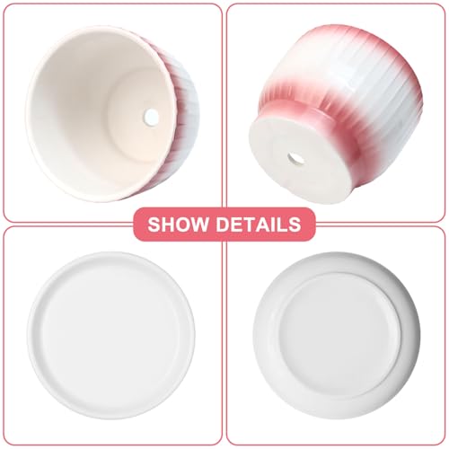 Ceramic Plant Pots, Set of 2, Pink + White, 6.7 + 5.5 Inch - color: Pink + White