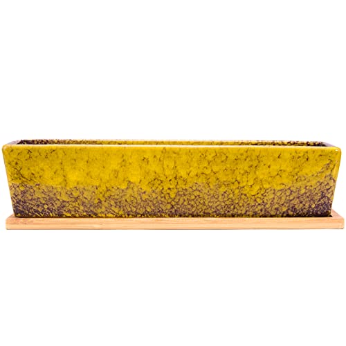 Succulent Pots, 12'' Large Long Rectangle Succulent Planter Pots with Drain - color: Yellow