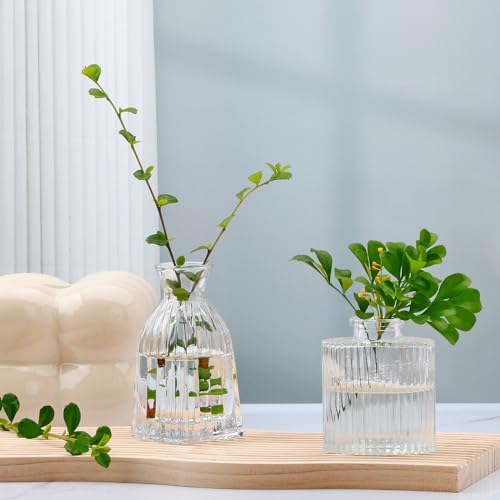 Glass Bud Vases Set of 4, Small Flower Vases for Wedding Centerpiece - color: Clear