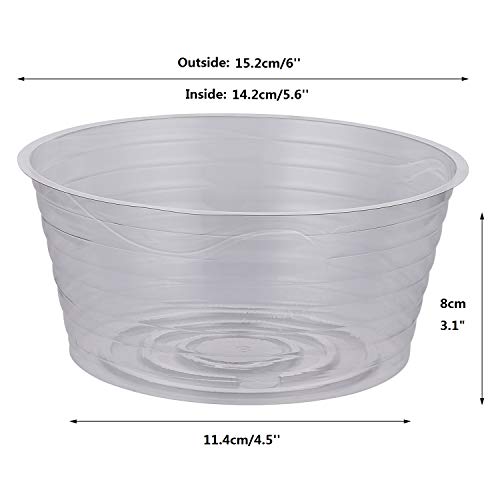 Idyllize 10 Pieces of 6 Inch Clear Thin Deep Plastic Plant Saucer Drip Tray for Pots (6'') - size: 6''