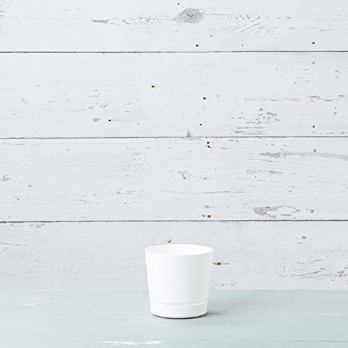 Novelty Majestic Full Depth Round Cylinder Pot, Glossy White, 6-Inch (10062) - color: White, size: 6 Inch