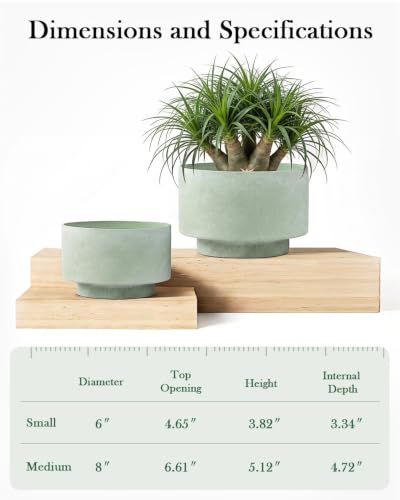 Succulent Pots, 8"+6" Plant Pots, Ceramic Planters for Indoor Plants - color: Green