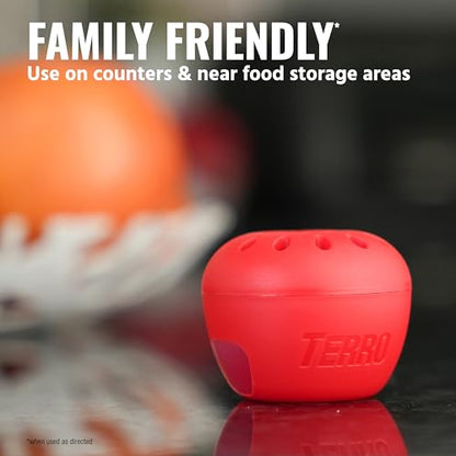 TERRO Fruit Fly Trap, 6-Pack Indoor Fly Traps with 270 Days Lure Supply - size: 6 Traps