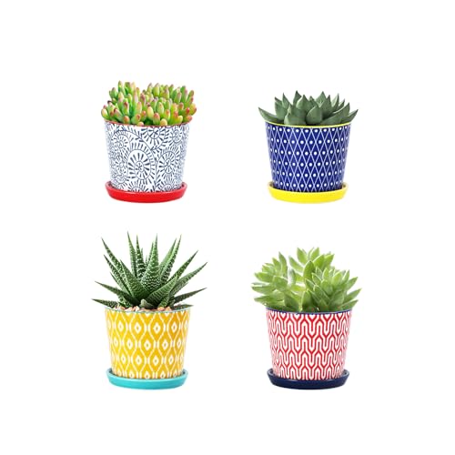 Selamica Ceramic Succulent Pots, 3.4 Inch Small Pots for Plants with Drainage Holes and Saucers, Succulent Planters for Indoor Plants, Cactus, Home Decor, Set of 4, Assorted Colors - color: Assorted Colors, size: 3.4 Inch, Set of 4