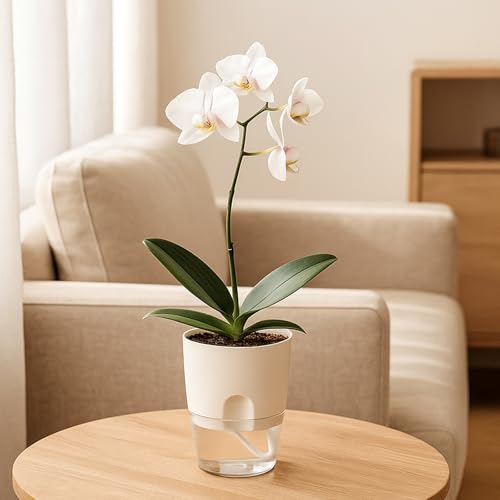 8 Pack Self Watering Pots for Indoor Plants, PlanterHoma 3.2 Inch Plant Pot Plastic Self Watering Planter for Orchid, African Violet, Mini Clear Flower Pots with Drainage Holes and Wicking Rope, White - color: White, size: 8 Pack (3.2 In)