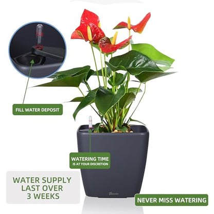 Dexceder 13x12 Self Watering Planter with Wheels (Slate Gray Matte) - color: Slate Gray, size: 13x12