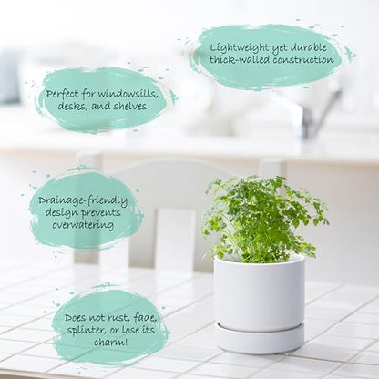 Phoenix Vine 4 Inch Planter Pot with Drainage Hole & Saucer, Deep Water Catch Tray, Straight Cylindrical Round Pot for Plants, Matte White, Pack of 2, 23-B-R-2 - color: Matte White, size: 4" (2 Pack)