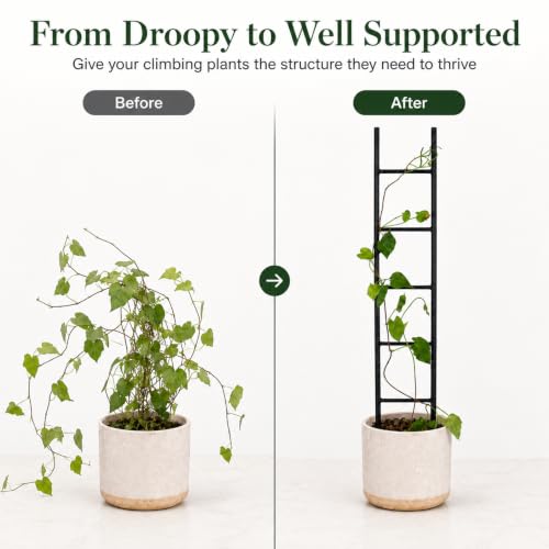 2PCS Indoor Plant Trellis, Sturdy Ladder Trellis for House Plant